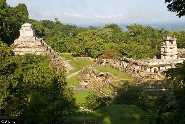 penemuan terbaru makam raja bangsa maya yang tersembunyi 1500tahun