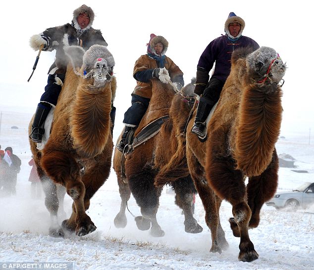 Uniknya Festival Naadam di Mongolia