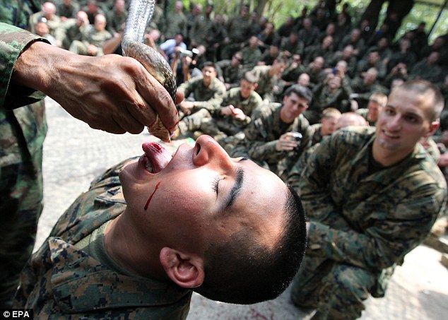 7 Latihan Militer Paling Gila di Dunia