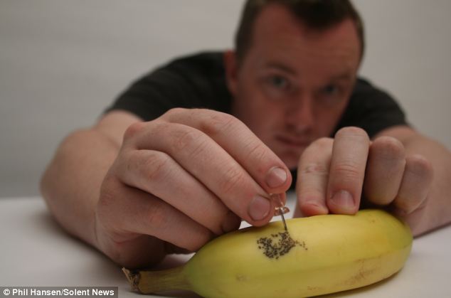 &#91;Masuk gaaann&#93;Karya &#039;Tato&#039; Di Kulit Buah Pisang, Banana-ART.