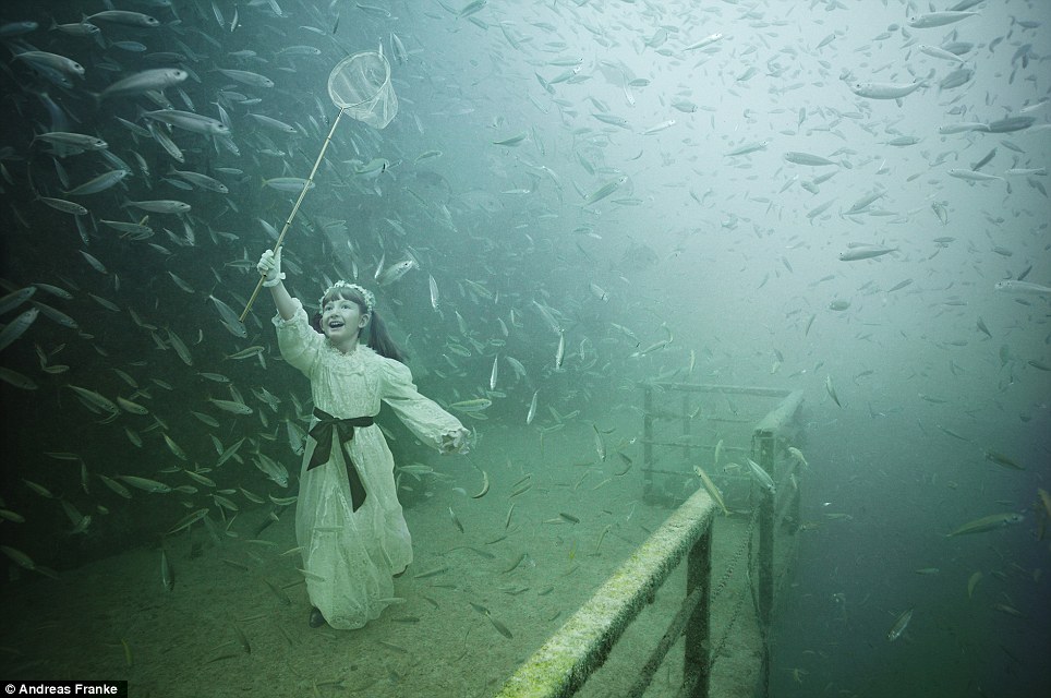 mengagumkan--pameran-foto-di-bawah-laut