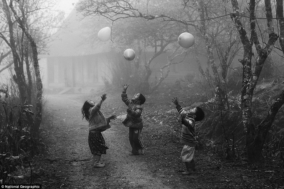 inilah Foto terbaik dari lomba National Geographic