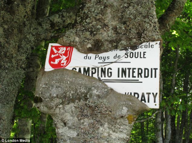 PAGAR MAKAN TANAMAN....