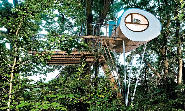 Design Treehouse Keren dan Unik