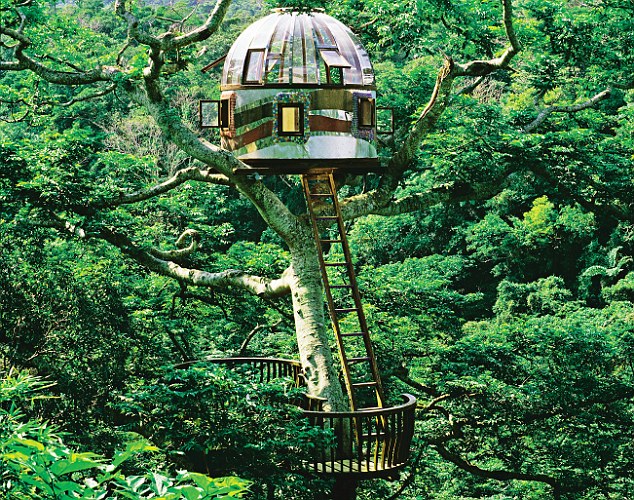 Design Treehouse Keren dan Unik