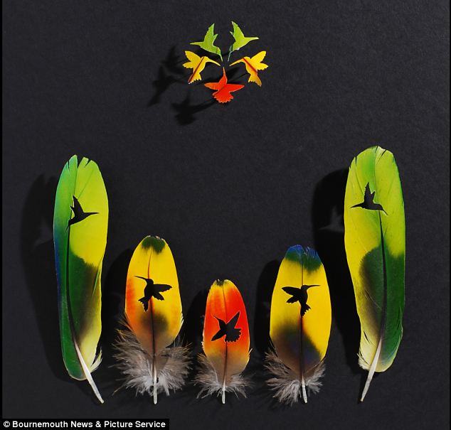 PIC: Karya Seni Unik Dari Bulu Burung