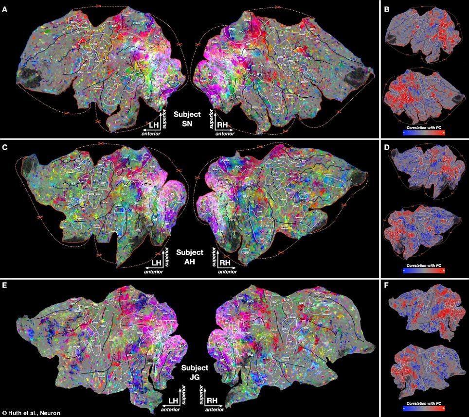 &#91;Berita Gak Laku&#93; How Our Brain Organises Everything We See