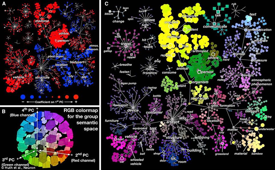&#91;Berita Gak Laku&#93; How Our Brain Organises Everything We See