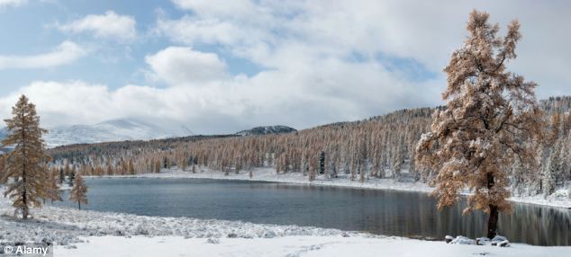 Indahnya Pemandangan di Jalur Tengkorak Siberia