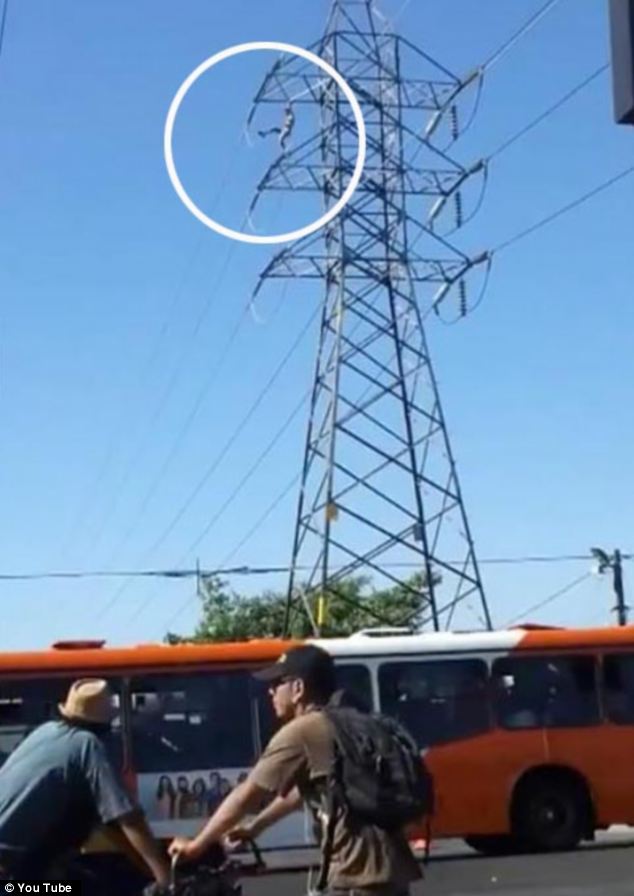 Gila,, Pria Ini Tewas Karena Akrobat di Atas Tiang Listrik