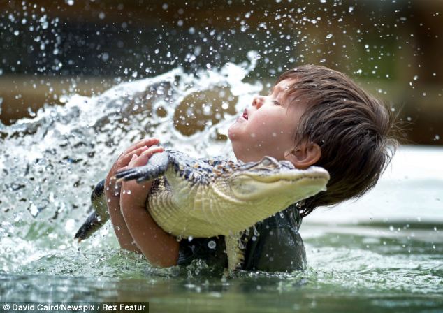 anak 3 Tahun berteman dengan Buaya, keren bener ya.