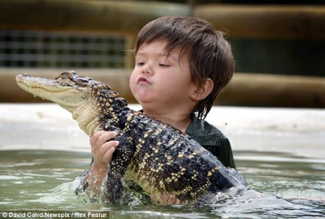 anak 3 Tahun berteman dengan Buaya, keren bener ya.