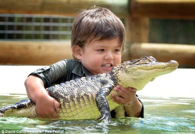 anak 3 Tahun berteman dengan Buaya, keren bener ya.