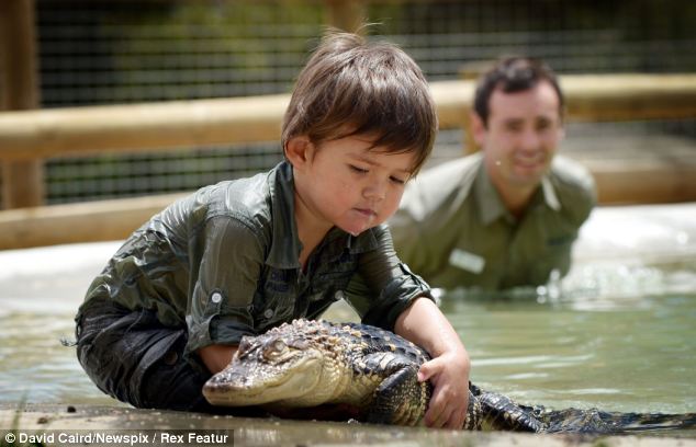 anak 3 Tahun berteman dengan Buaya, keren bener ya.