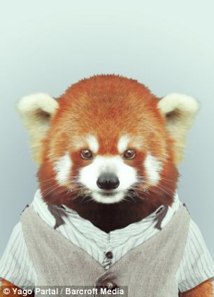 Foto Hewan-Hewan ketika MEMAKAI BAJU MANUSIA 