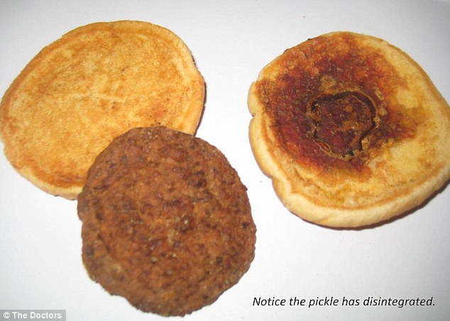 Gila!!, Burger McDonald Gak Basi Padahal Udah 13 Tahun (Penting Untuk Kesehatan!!)