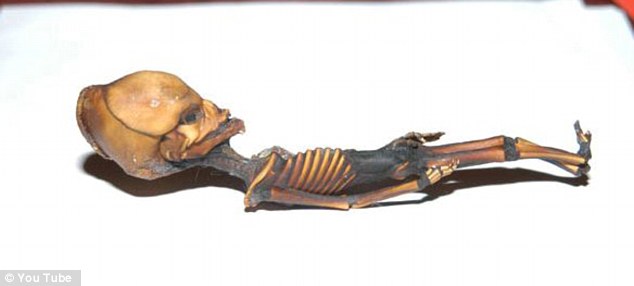 Terkuak! Misteri Fosil 'Alien' Berukuran 15 Cm Dari Chile