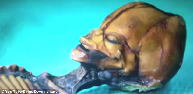 Terkuak! Misteri Fosil 'Alien' Berukuran 15 Cm Dari Chile