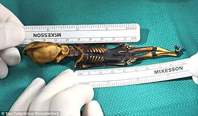 Terkuak! Misteri Fosil 'Alien' Berukuran 15 Cm Dari Chile