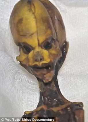 Terkuak! Misteri Fosil 'Alien' Berukuran 15 Cm Dari Chile