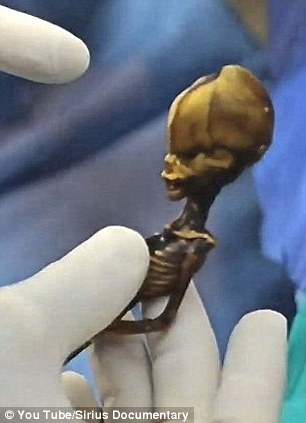 Terkuak! Misteri Fosil 'Alien' Berukuran 15 Cm Dari Chile