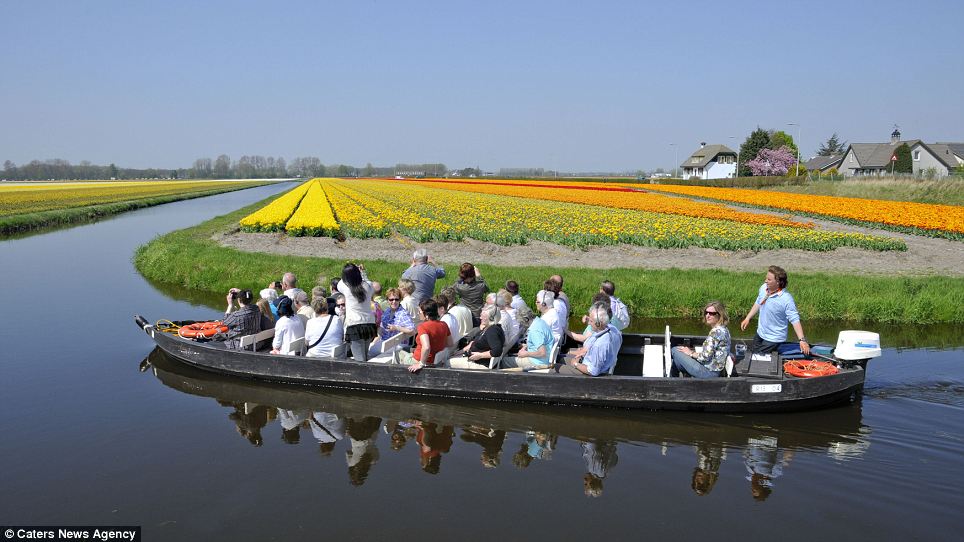 Keindahan Taman 7 Juta Bunga Di Keukenhof, Belanda