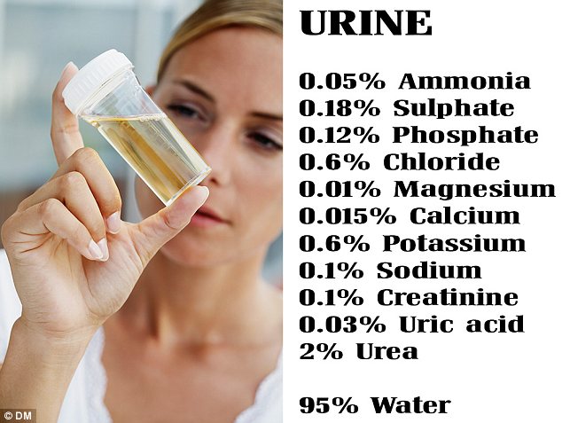 5-manfaat-paling-unik-dari-urine