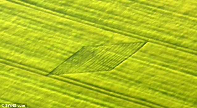 Para Pembuatnya Pada Pensiun, Crop Circle Semakin Berkurang