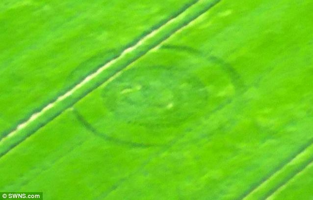 Para Pembuatnya Pada Pensiun, Crop Circle Semakin Berkurang