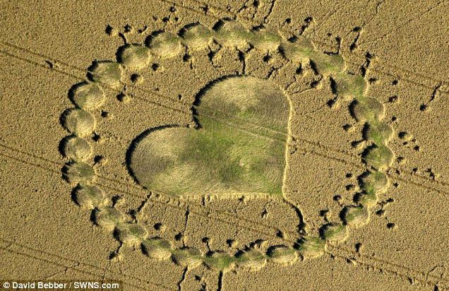 Para Pembuatnya Pada Pensiun, Crop Circle Semakin Berkurang