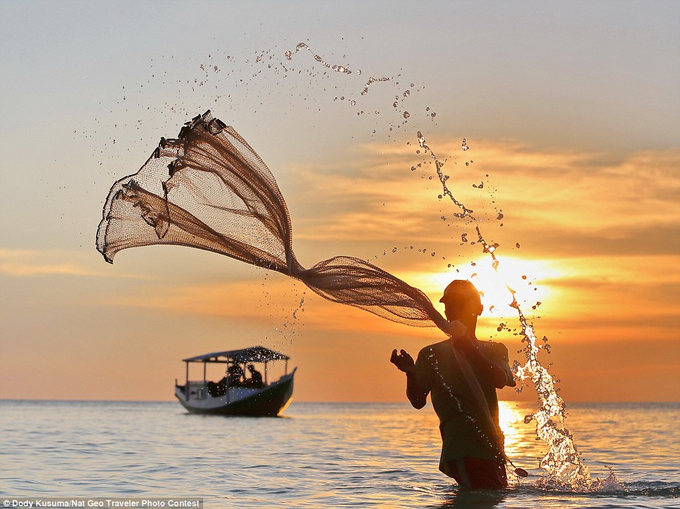 Mangtaabs gan! National Geographic 2013 Photo Contest