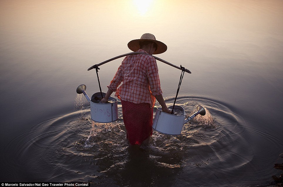 Mangtaabs gan! National Geographic 2013 Photo Contest