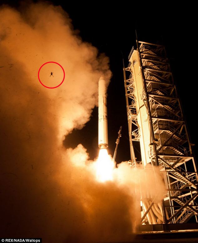HEBOH..!! katak tertangkap kamera saat peluncuran roket NASA