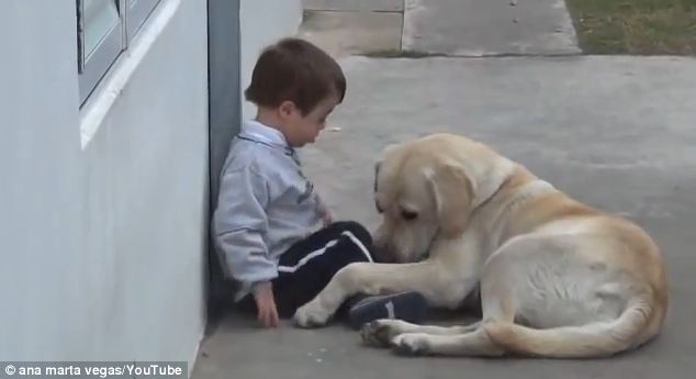 Momen Manis Saat Anjing Membujuk Anak Down Syndrome Bermain 