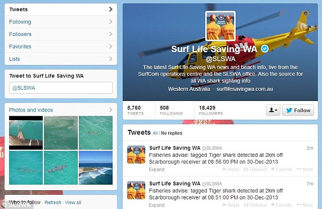 &#91;Keren Gan&#93; Antisipasi Hiu, Australia gunakan twitter!
