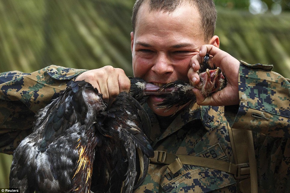 7 Latihan Militer Paling Gila di Dunia