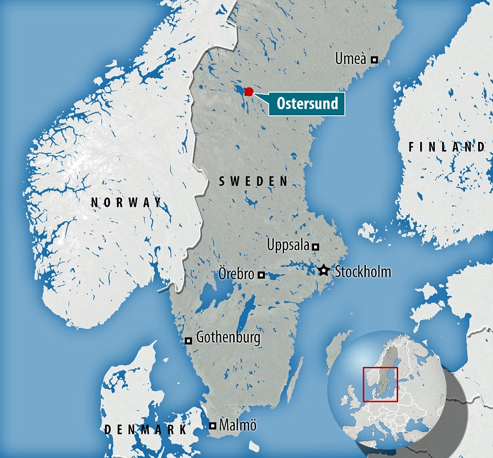 Swedish town rocked by EIGHT sex attacks in three weeks by migrant men