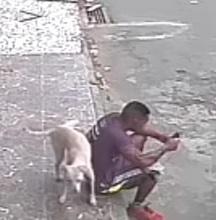 Ada Kisah Lanjutan dari Video Viral Seorang Pria yang Dikencingi Anjing