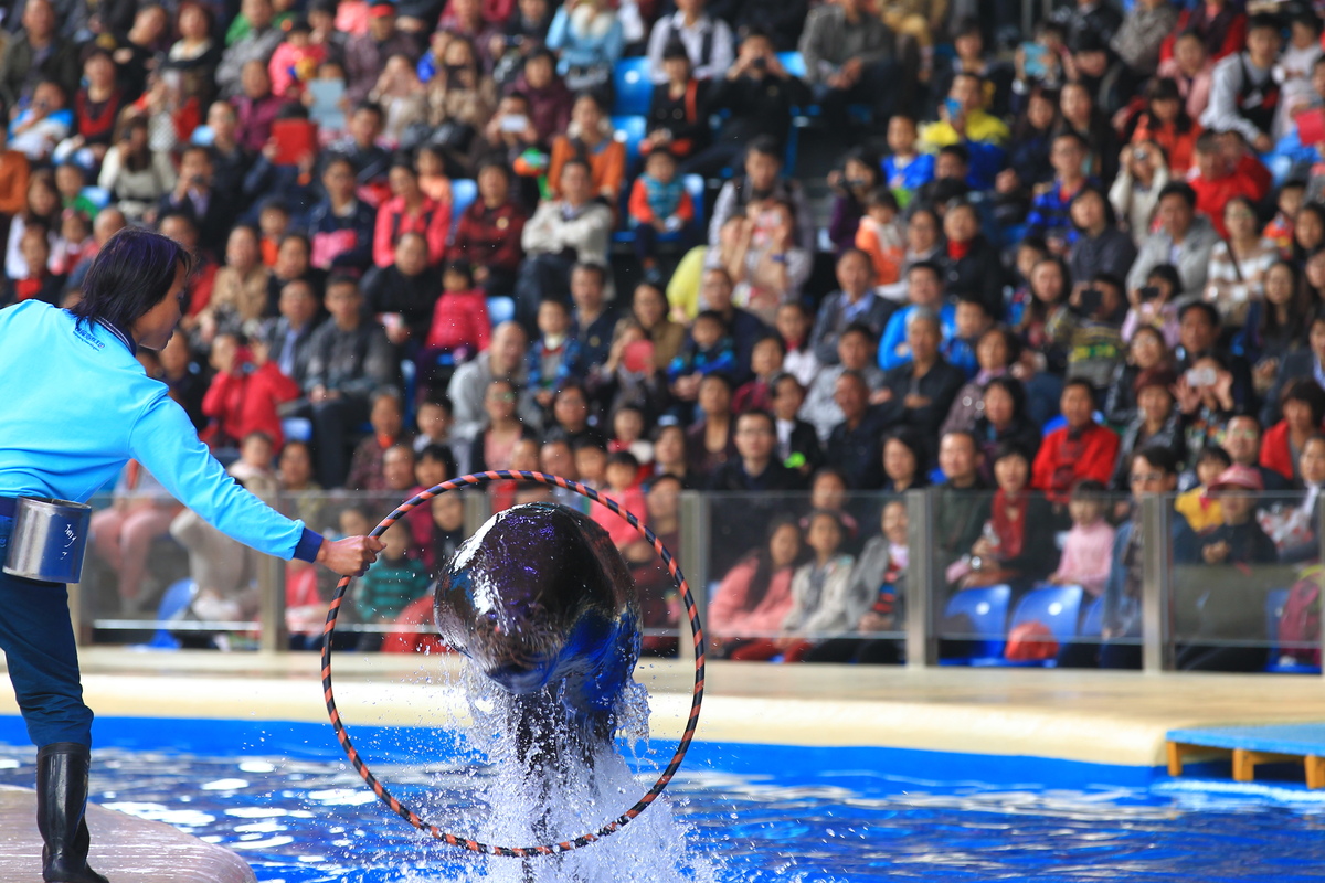 Seaworld ini memecahkan Rekor The Guinness Book of World Records