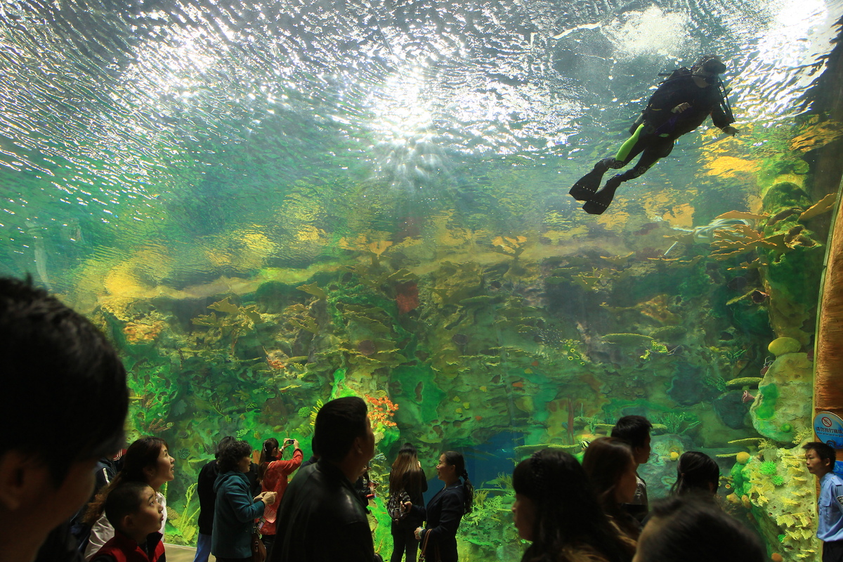 Seaworld ini memecahkan Rekor The Guinness Book of World Records