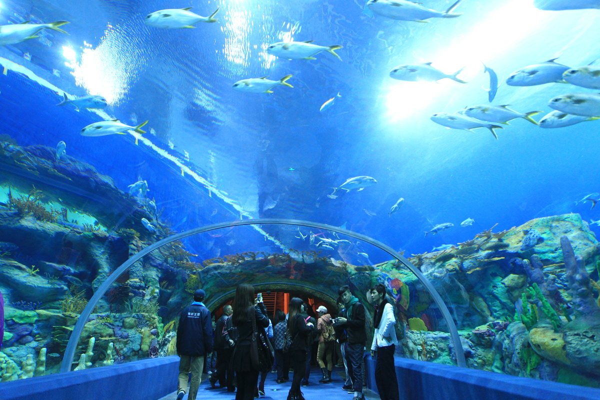 Seaworld ini memecahkan Rekor The Guinness Book of World Records
