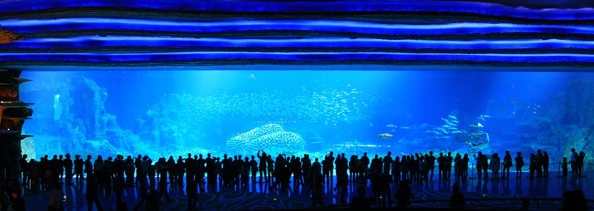 Seaworld ini memecahkan Rekor The Guinness Book of World Records