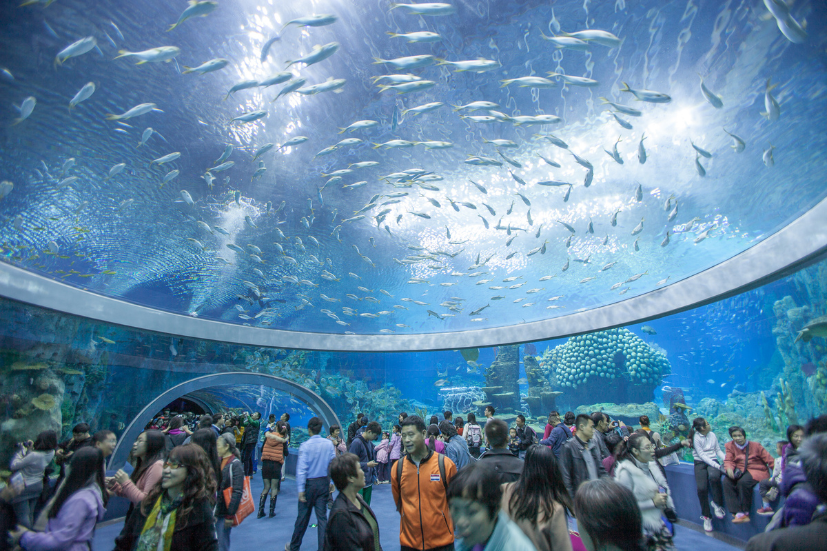 Seaworld ini memecahkan Rekor The Guinness Book of World Records