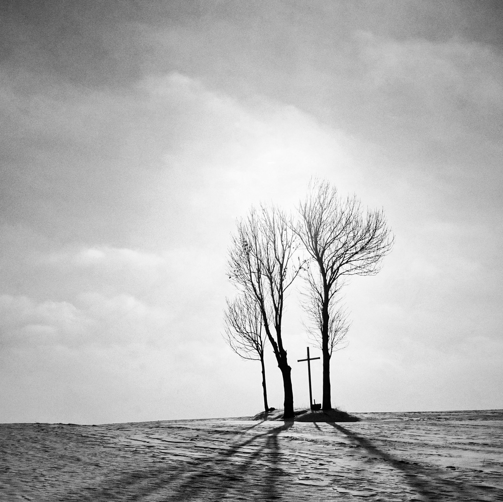 20 Hasil Foto Ponsel Terbaik event "Sony world Photography 2015"