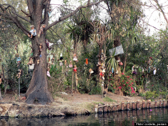 5 Hutan Mengerikan Di Dunia