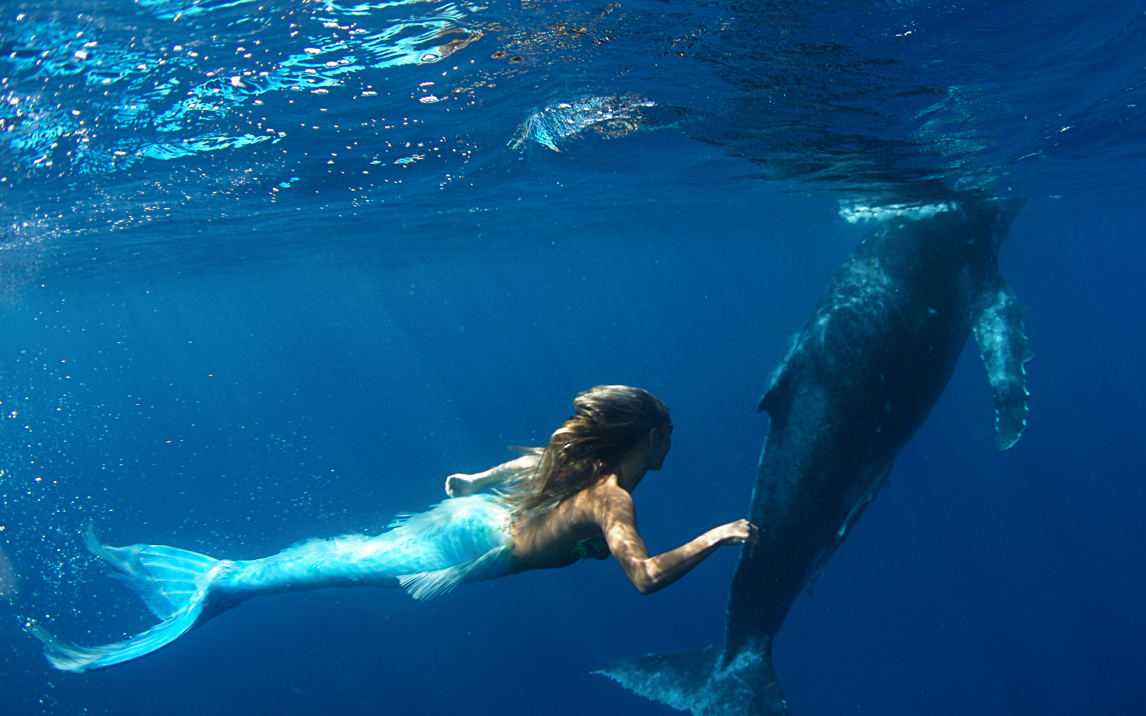 Mari Kita Intip Karya Underwater Hannah Fraser Menakjubkan Yuk