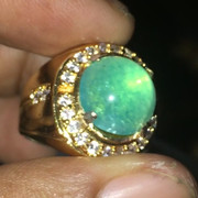 lelang singkat 8 item to