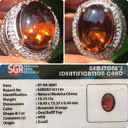 lelang singkat item elegance