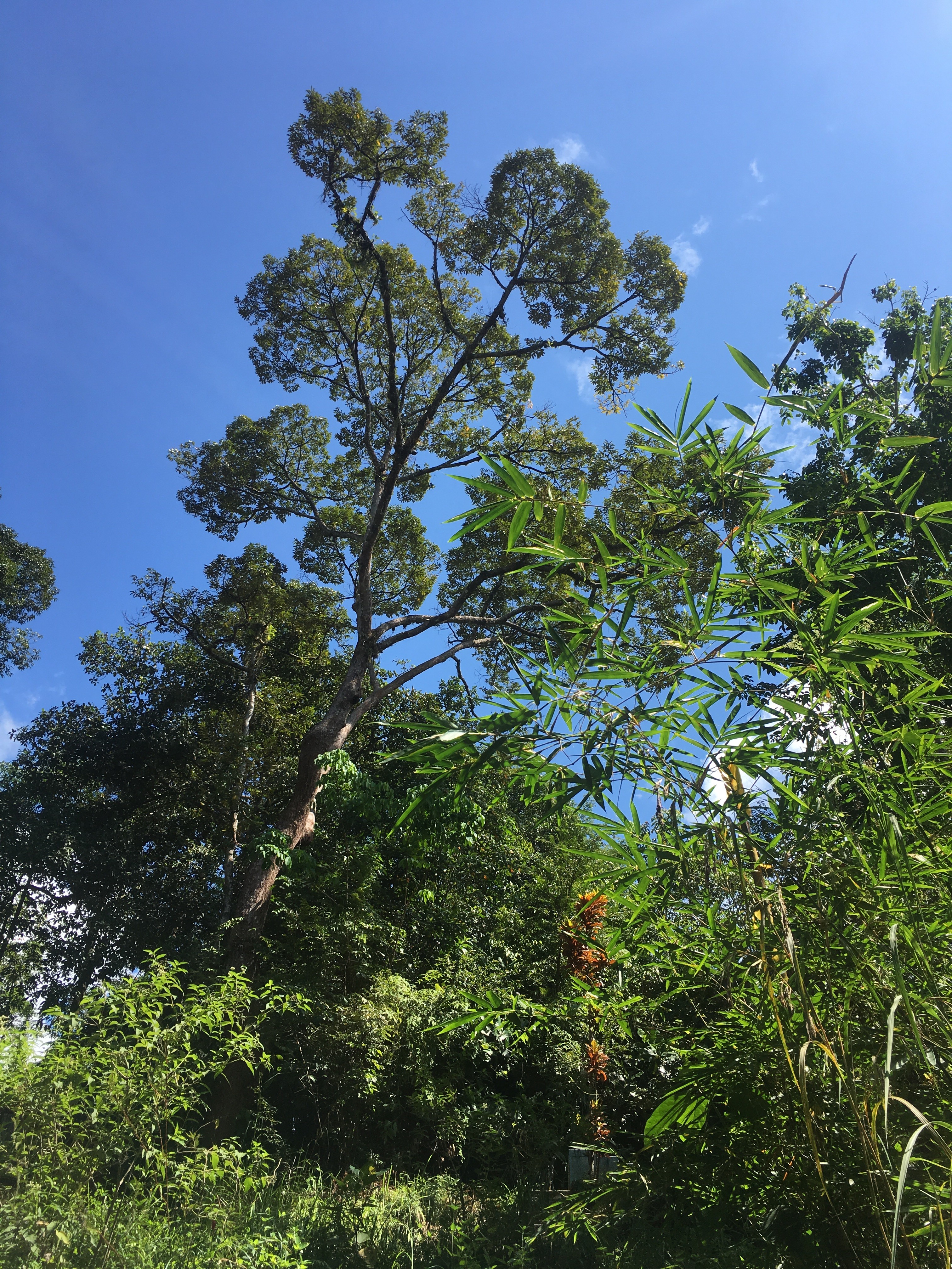 ijepret---share-your-moment-here