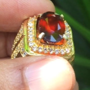 lelang singkat item elegance